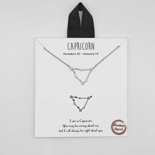 Capricorn Silver Necklace